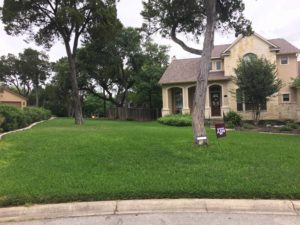 lawn fertilizer service in Northeast San Antonio
