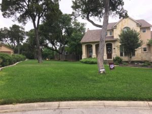 Grub Control in Cibolo