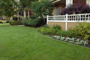 green grass treated by professional lawn care in Rockland County