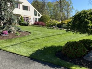 Beautiful front lawn of a house maintained by lawn care company in New City