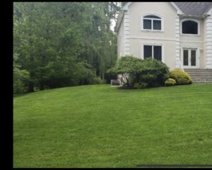 Beautiful lawn of a house after lawn maintenance in Bergen County
