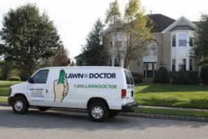 lawn care company in Hamilton