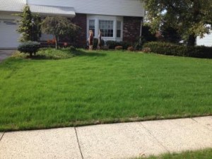 After a completed lawn seeding project in the North Brunswick showing lawn care in Hamilton Township
