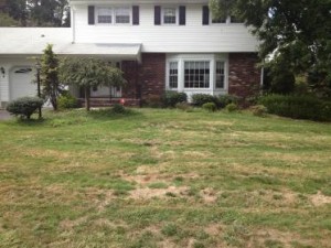 Before a completed lawn seeding project in the North Brunswick - NJ area