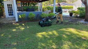 lawn aeration in backyard