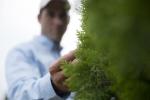 Lawn Doctor expert providing Tree Care in Waltham