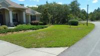 Before lawn treatment by Lawn Doctor of Ocala-Homosassa
