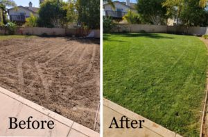 Lawn Doctor of North County Coastal before and after Carlsbad lawn photo