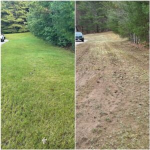 Lawn Maintenance in Layton