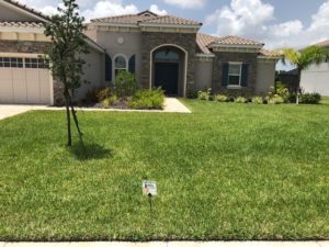 Weed Control Services in Sun City Center