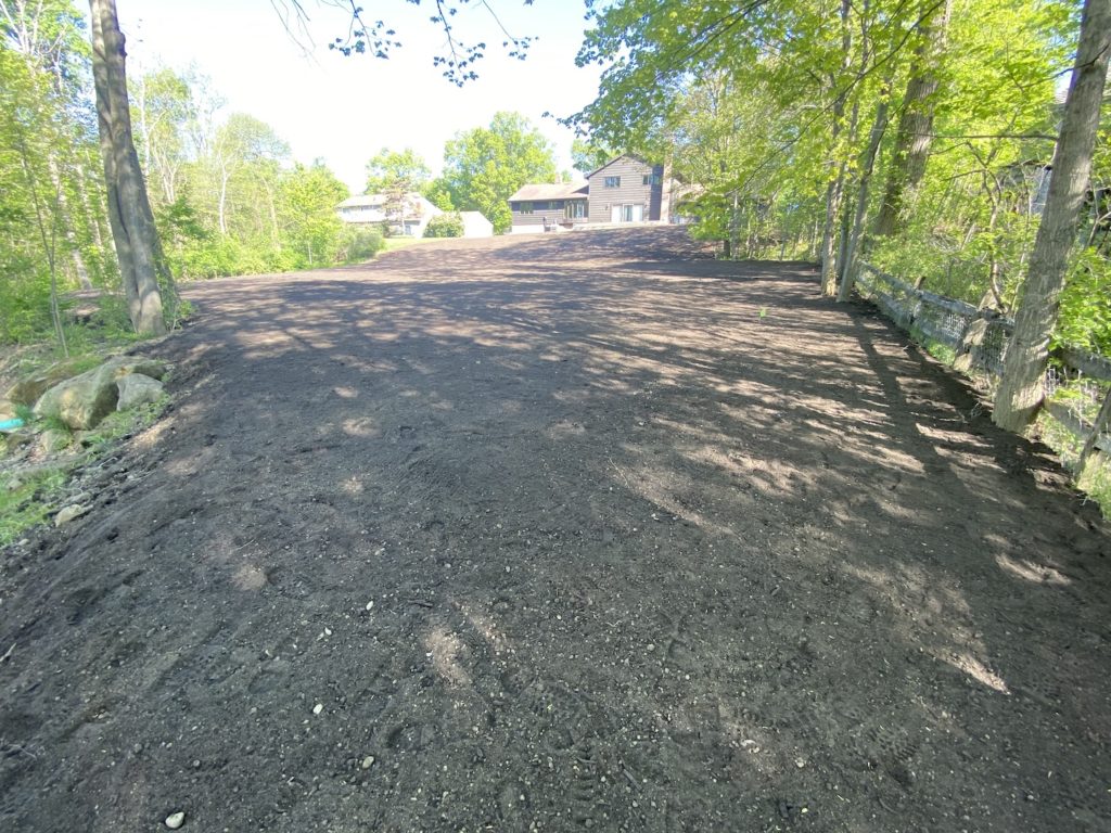 brown grass before lawn seeding service