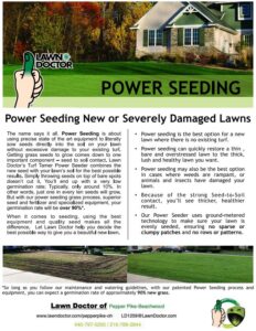 Power Seeding Flier