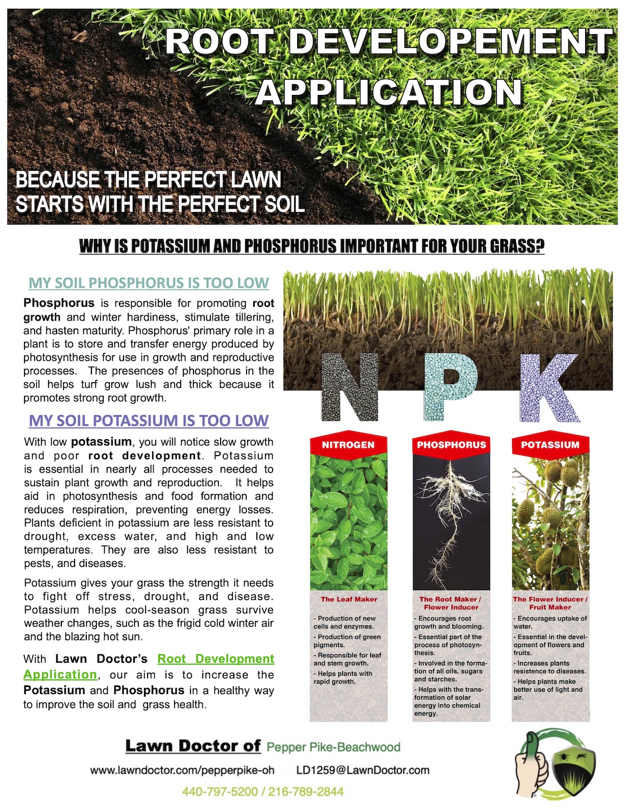 Lawn Care Service Descriptions Lawn Doctor of Pepper PikeBeachwood