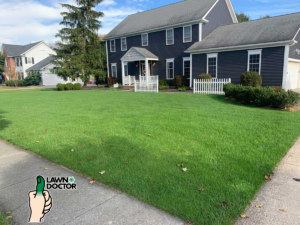 Lawn_Doctor_Results_Northeast_Ohio (1)