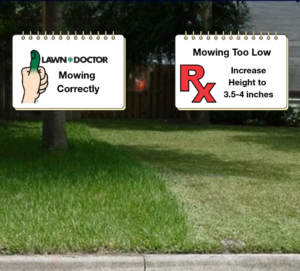Mowing Too Short Comparison