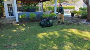 Green lawn looks amazing after Lawn service in Pinellas Park