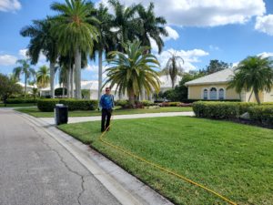 green grass in Seminole