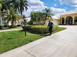 weed control in Pinelas Park