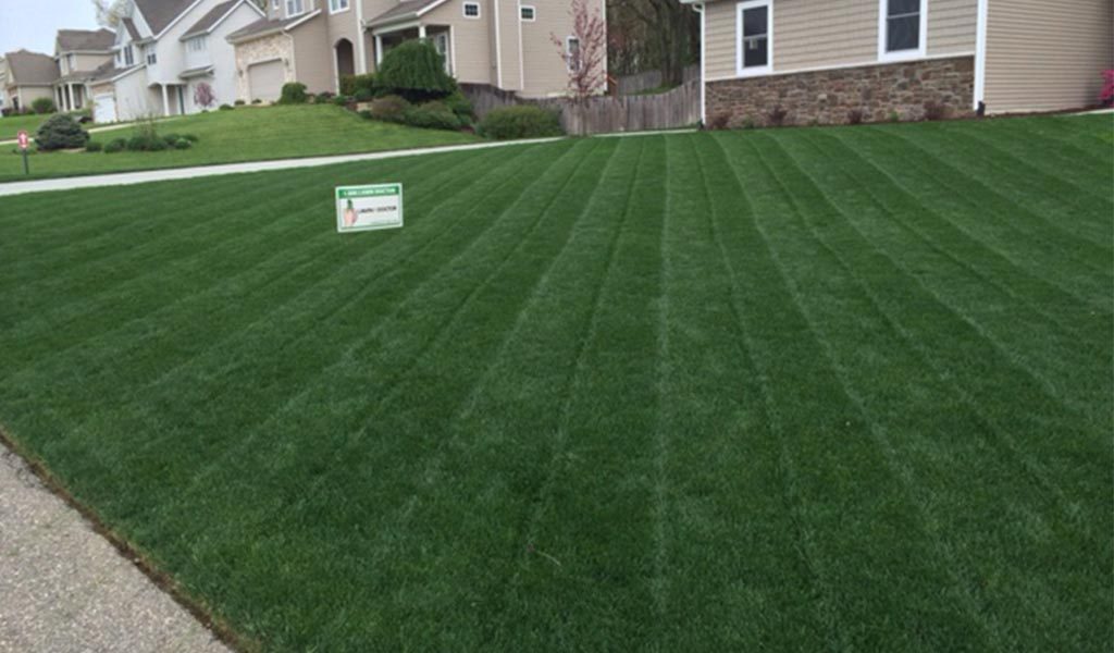 Lawn doctor sign in yard in showing lawn care services in Portage