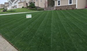 green grass treated by lawn care in Portage