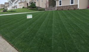 Lawn Doctor sign in yard showing our lawn services in Portage