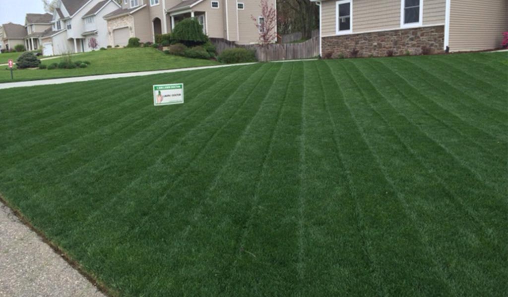 Professional Lawn Care in Portage MI Lawn Doctor of KalamazooPortage
