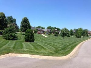 Take Weed Control to keep your Lawn from Good to Great