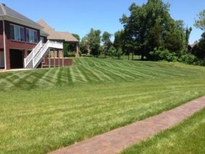 manicured lawn running up to a side walk showing lawn care services in Elizabethtown