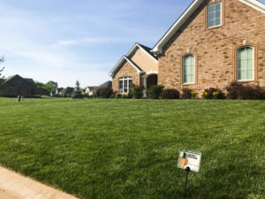 green lawn after lawn care services from lawn doctor