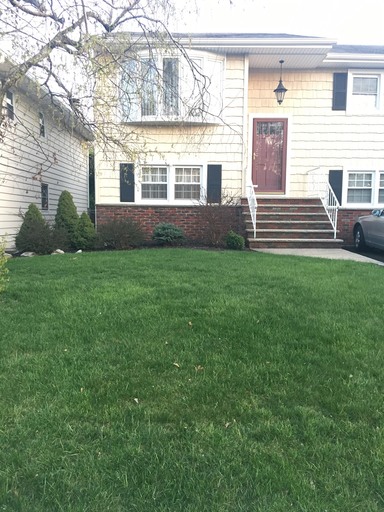 Green front yard showing lawn care in Rockaway