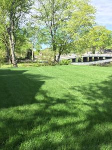 Make your Lawn from Good to Great, Take Weed Control Service in Mountain Lakes