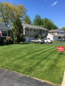 A beautiful Good to Great Lawn having Weed Control Service.