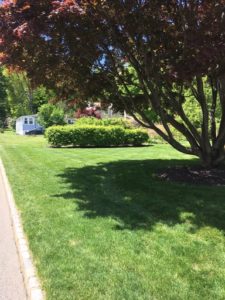 lawn care company in Boonton