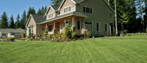 lawn treatment Berkley 