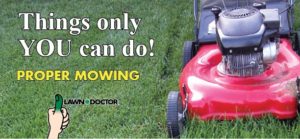 lawn mower mowing grass