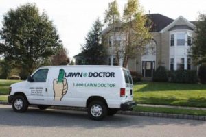 Local Lawn Care Services in Westfield