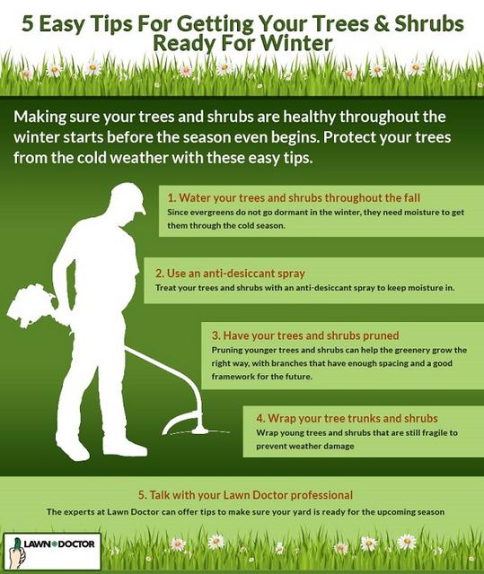 Tips for getting your trees and shrubs ready for winter infographic