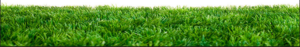 Lawn Doctor