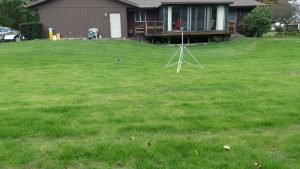 green back yard treated by lawn services in South Bend
