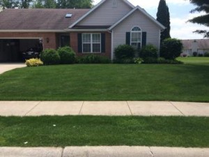 green grass treated by lawn care in South Bend