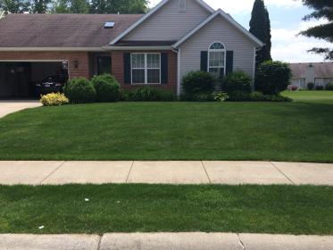 completed lawn care services in South Bend - IN area