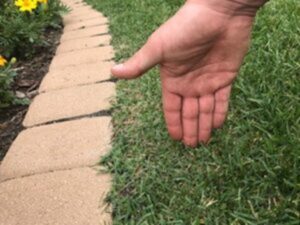 lawn maintenance Terrace Park