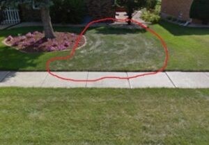 Weed Control in Terrace Park