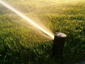 Lawn Treatment in Anderson