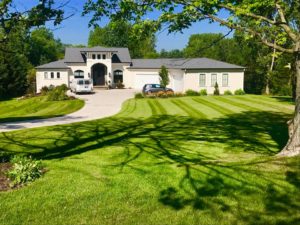 huge green front yard showing lawn care services in Grand Rapids