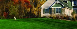 Grassin front of house after Lawn Doctor provided Residential Lawn Care in Forest Hills