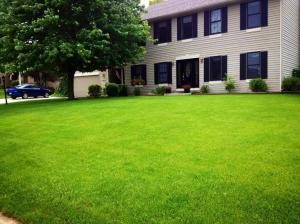 Beautiful green lawn in front of house showing lawn care services in Grand Rapids