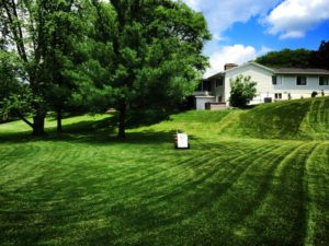 Extremely Beautiful Green Lawn, lawn care company Forest Hills 