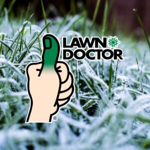 Weed Control Service in Hudsonville