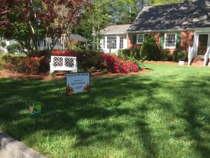 green lawn treated with annual lawn care services in Holly Springs